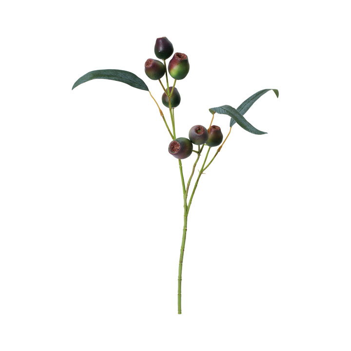 ユーカリベリースプレー