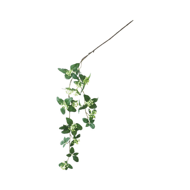 ベリーハンギングスプレー