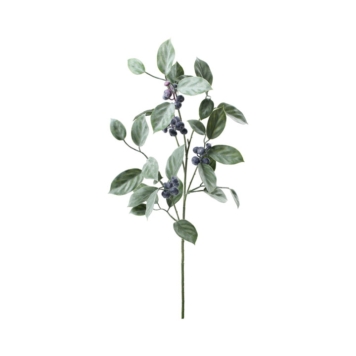 ブルーベリースプレー