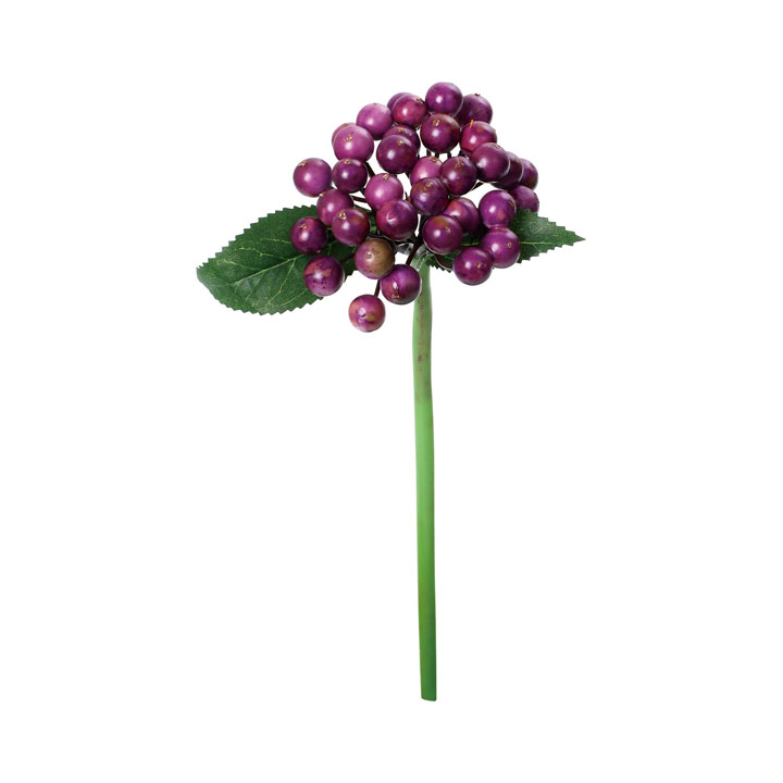 コンバクターベリー