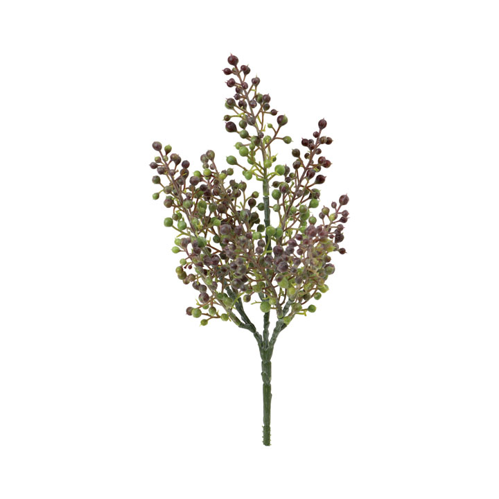 アメグンバイナズナブッシュ