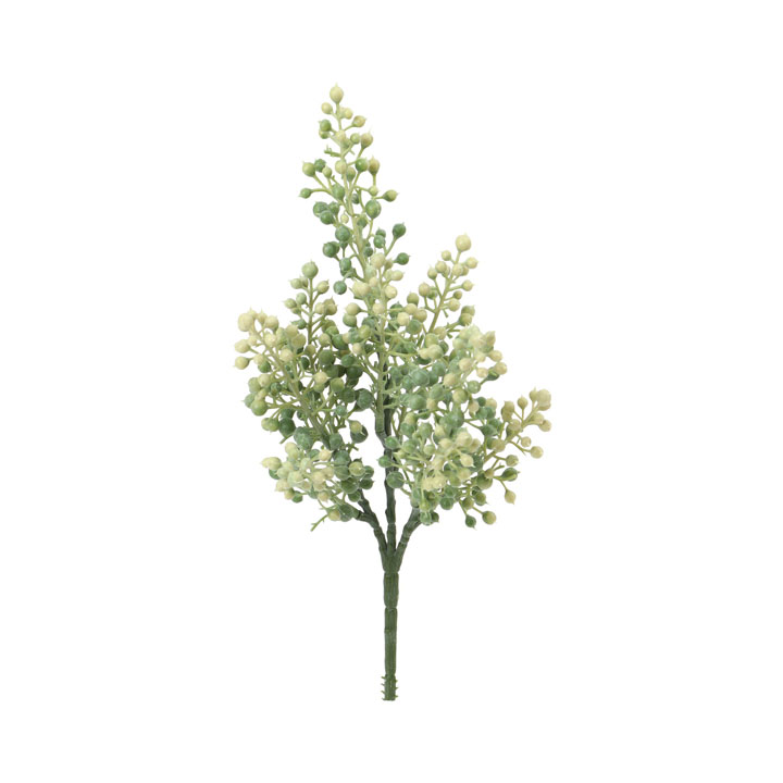 アメグンバイナズナブッシュ