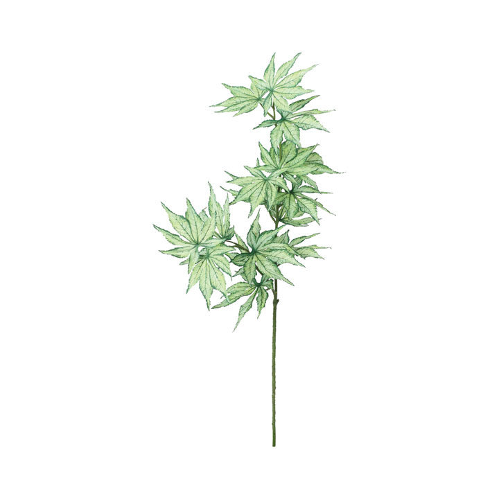 ケナフスプレー