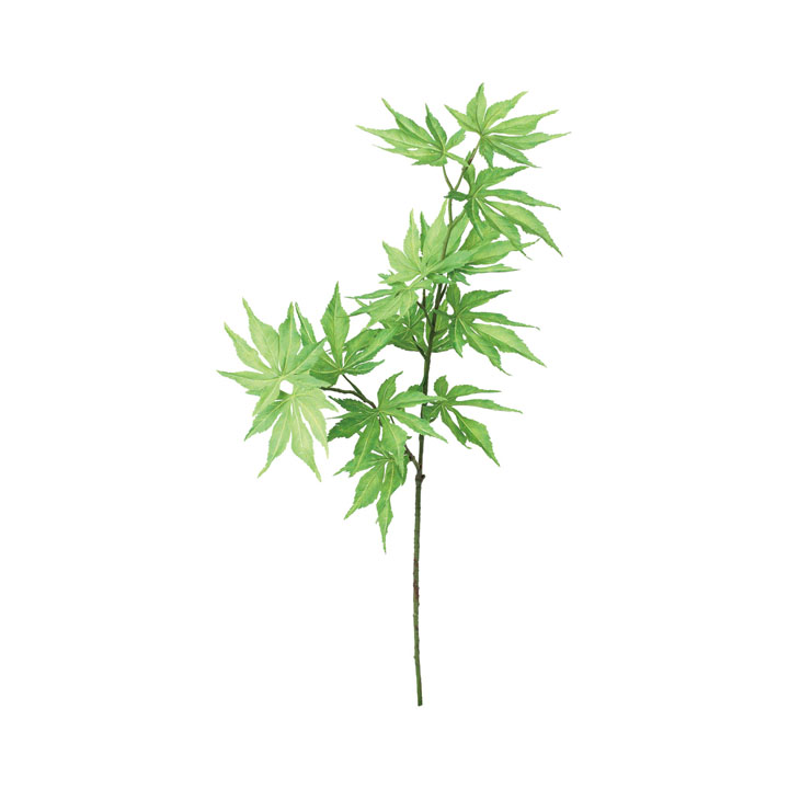 ケナフスプレー