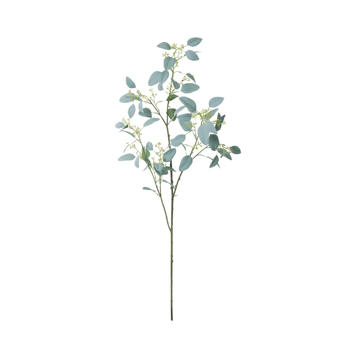 ロングユーカリベリー