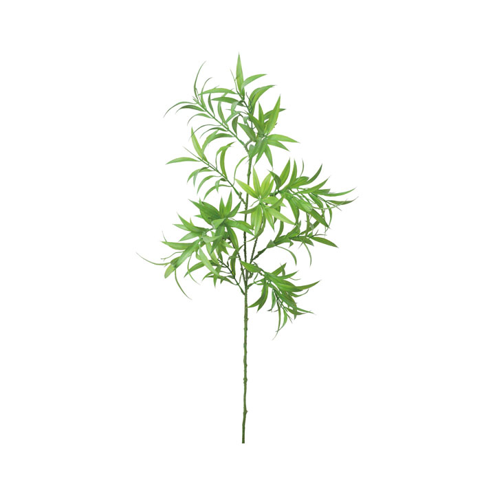 ディスポラムスプレー