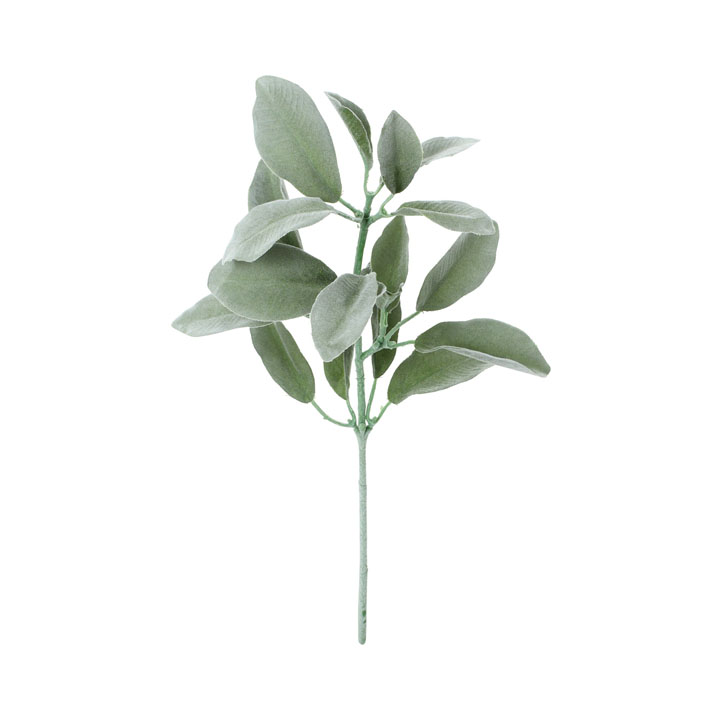 ラムズイヤーショート