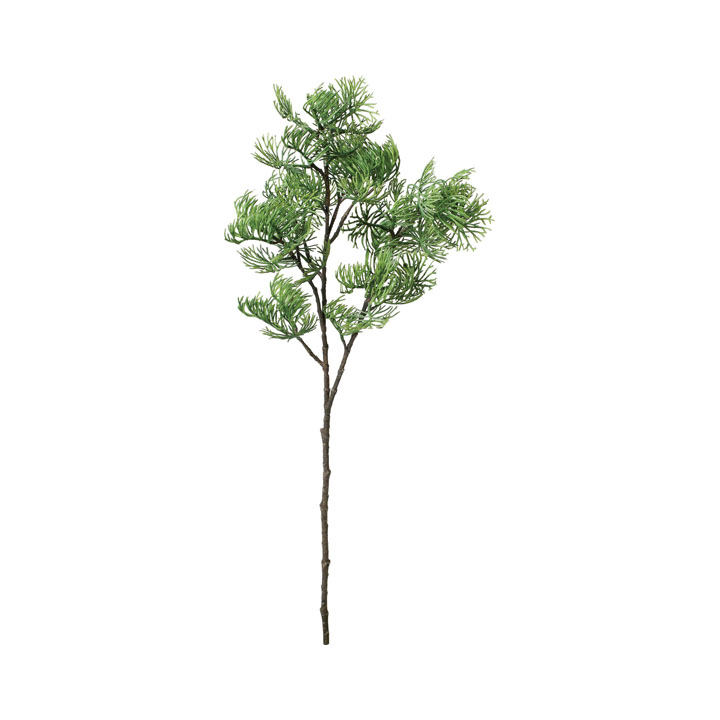 ミヤビヒバスプレー