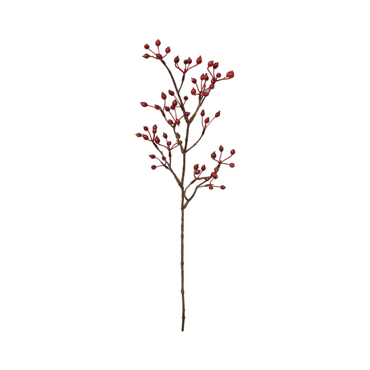 ミニローズヒップスプレー