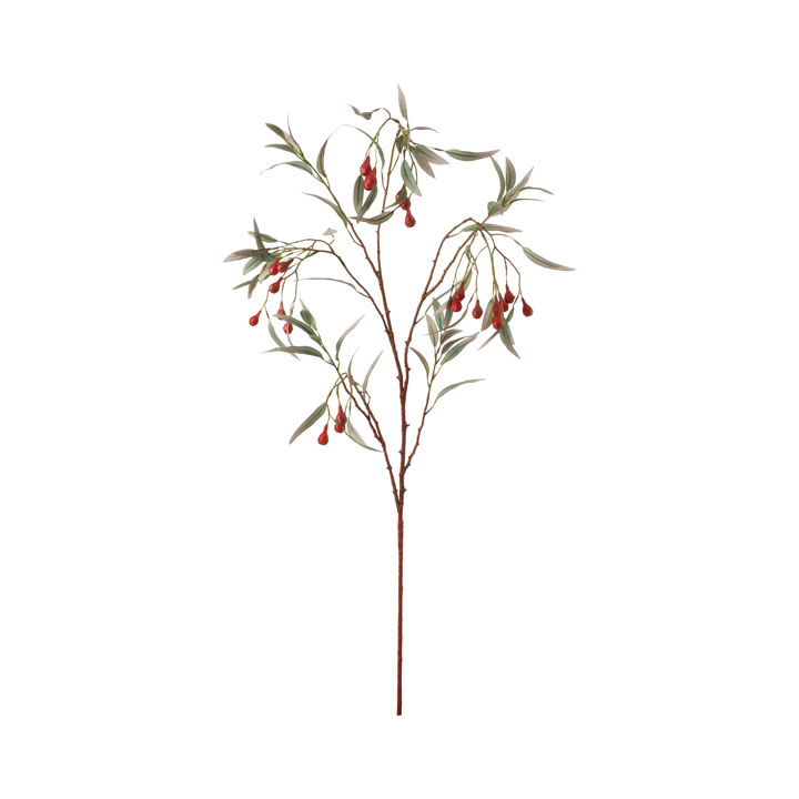 ロングユーカリプタスブランチ