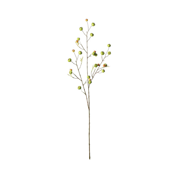 クラブアップルベリーブランチ