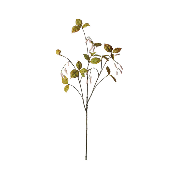 プッシーウィローブランチ