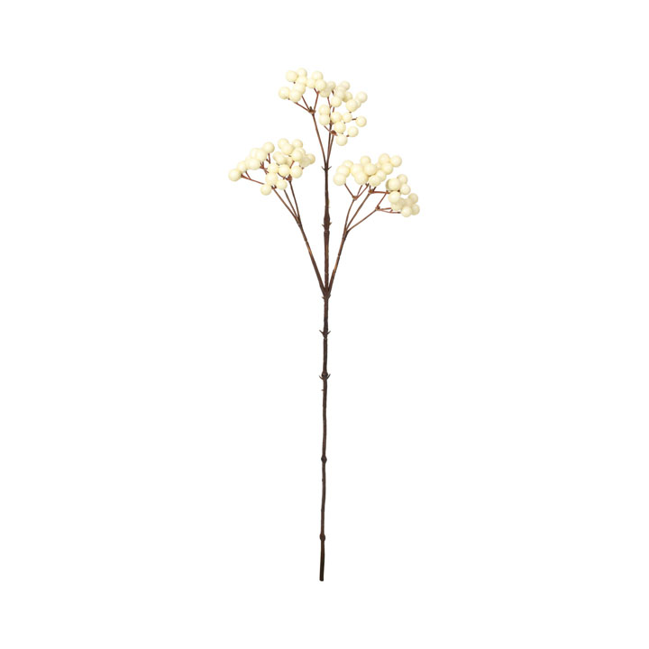 フレキシブルベリーブランチ