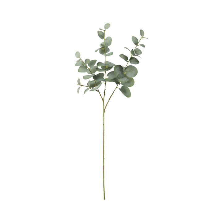 ユーカリスプレー