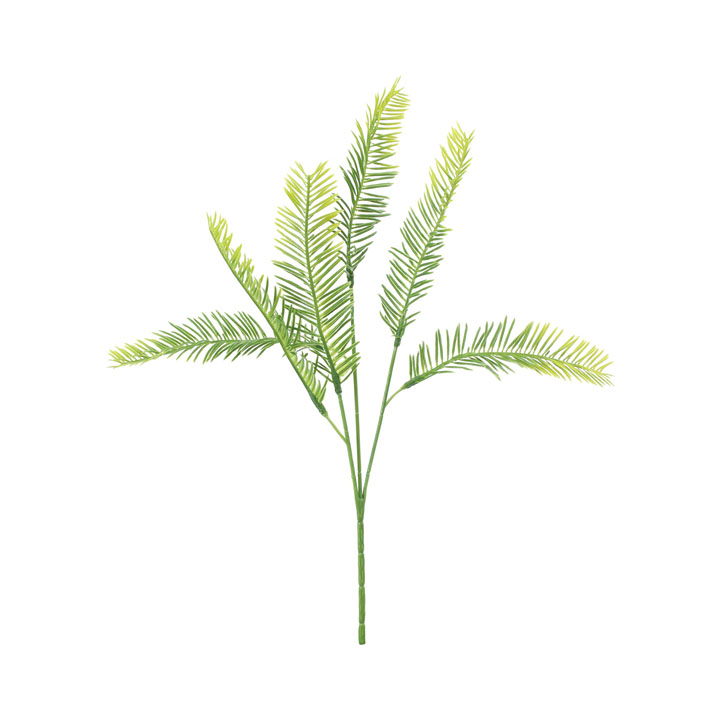 ファーンスプレー