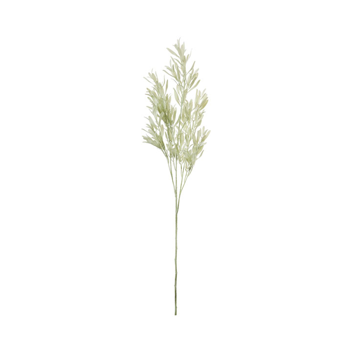 オリーブリーフブランチ