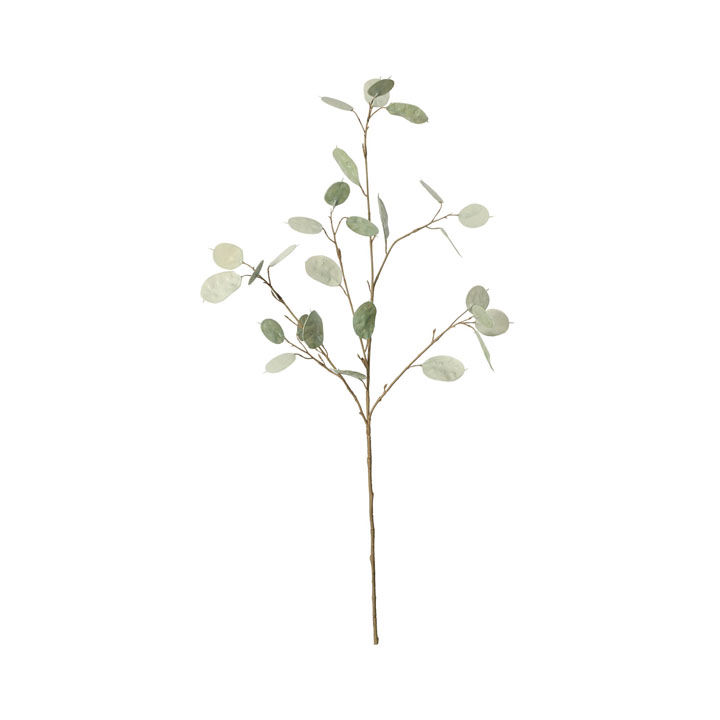 バイカラールナリアスプレー