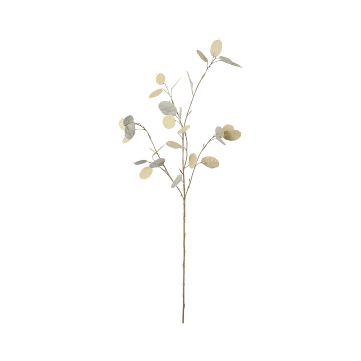 バイカラールナリアスプレー