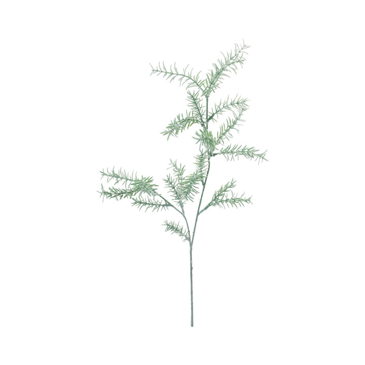 フロックローズマリースプレー