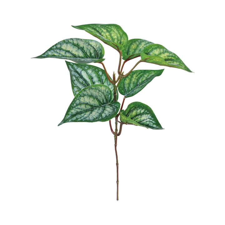 UVリサイクルフィロショート