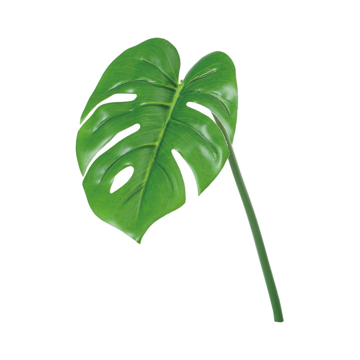 UVリサイクルモンステラリーフS