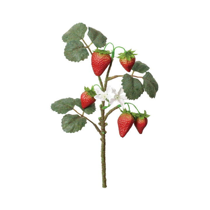 ストロベリーショートブランチ