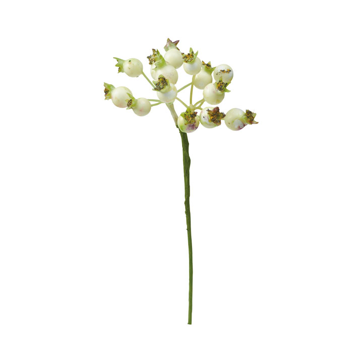 ジューシーベリーピック