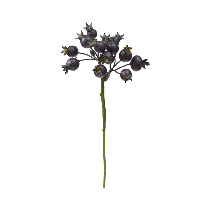 ジューシーベリーピック