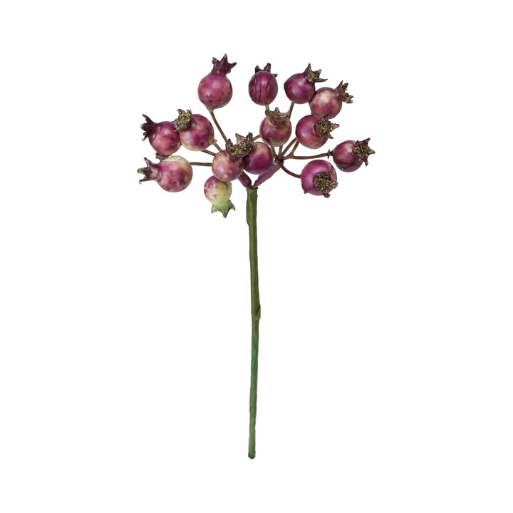 ジューシーベリーピック