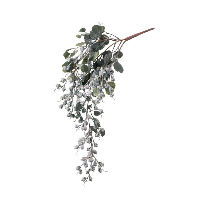 ユーカリテトラゴナハンギング