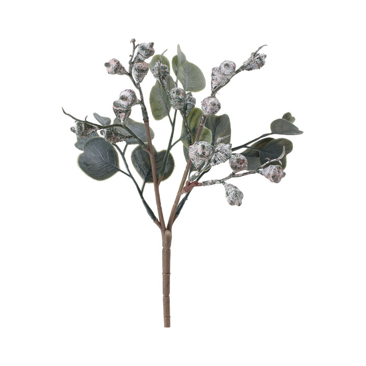 ユーカリテトラゴナスプレーショート