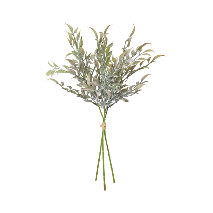 イタリアンルスカスバンチ