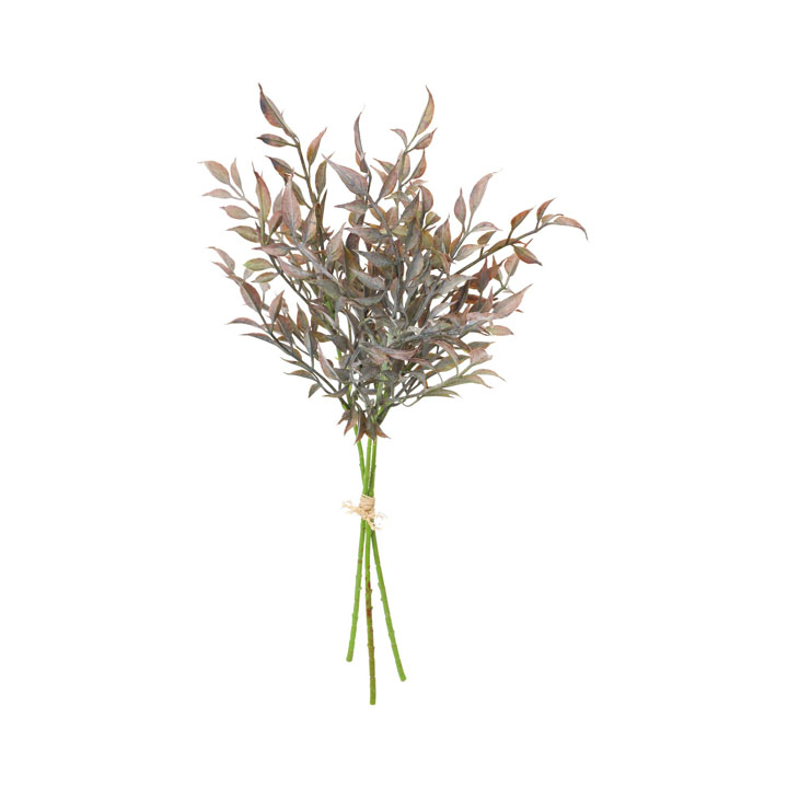 イタリアンルスカスバンチ