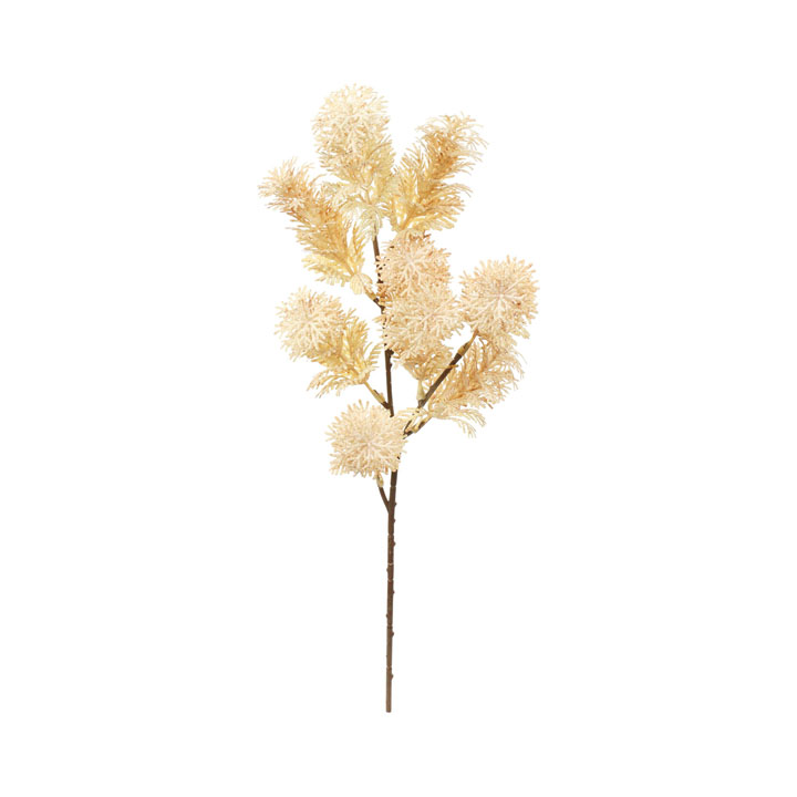 パロットフェザーショート