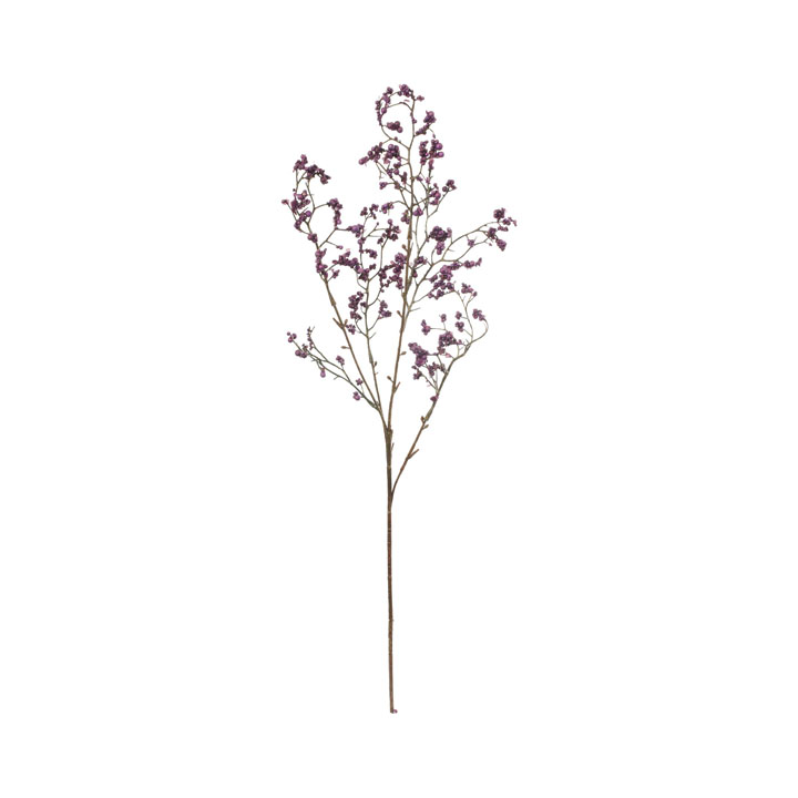 ムラサキシキブスプレー