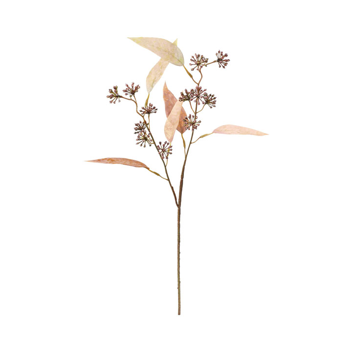 カンサーツリースプレー