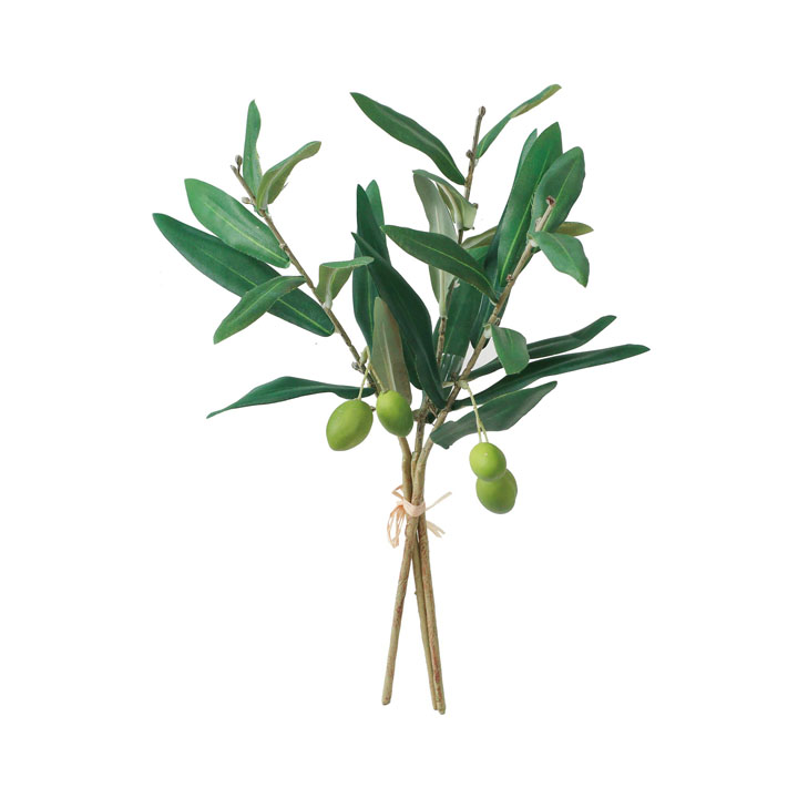 オリーブバンドル