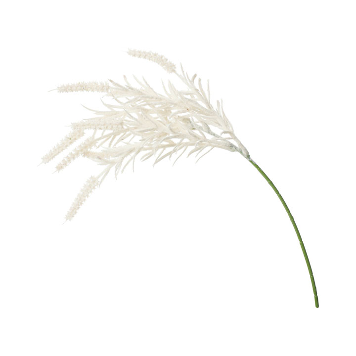 フロッキーファーショート