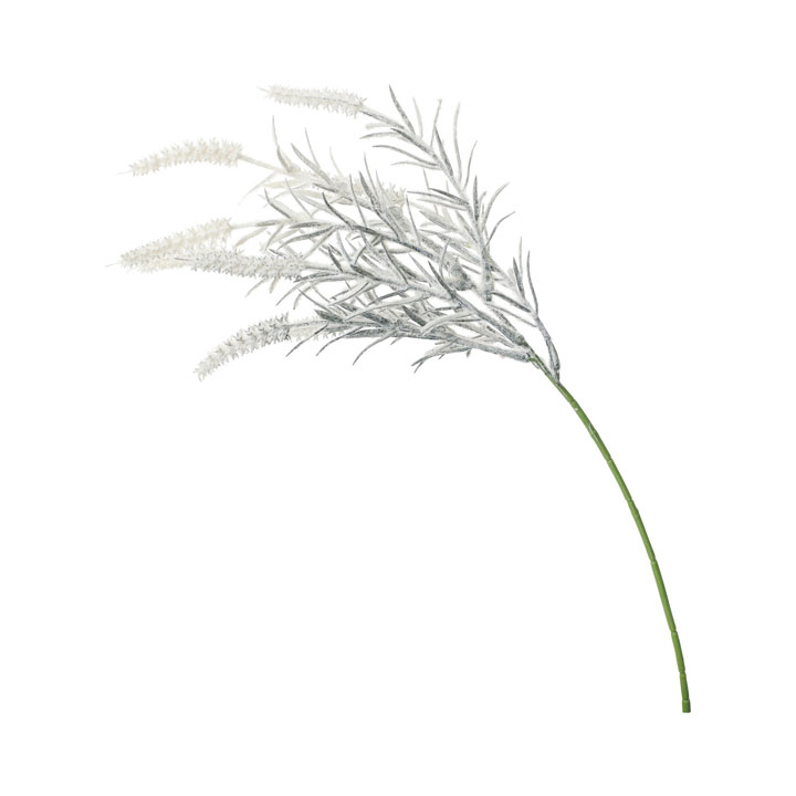 フロッキーファーショート