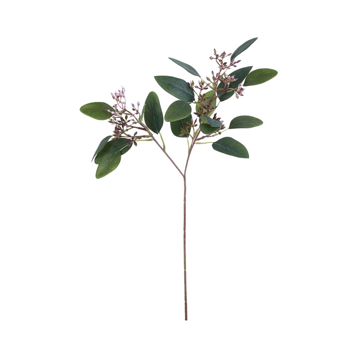 ホソバユーカリスプレー実付き