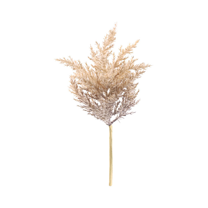 ドライパンパスショート