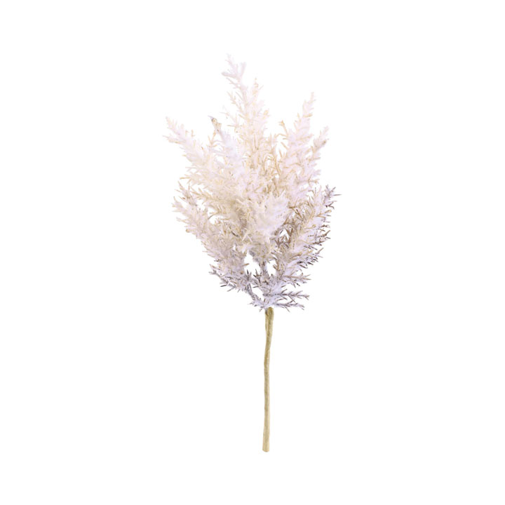 ドライパンパスショート