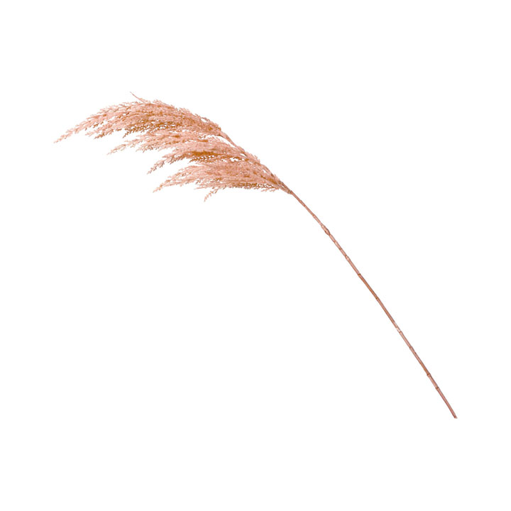 ドゥループパンパススプレー