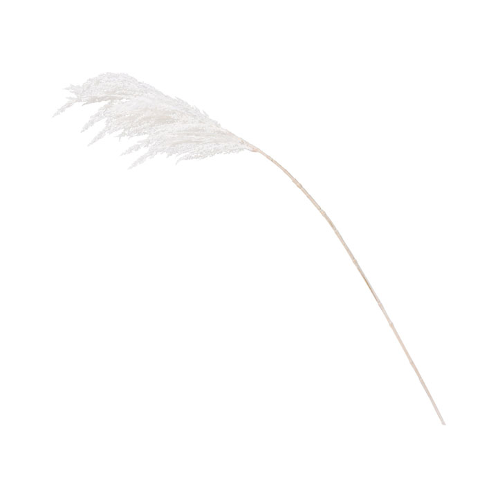 ドゥループパンパススプレー