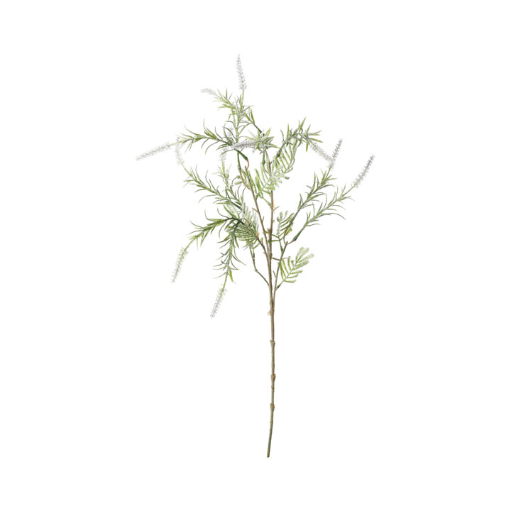 フロッキーアスチルベスプレー