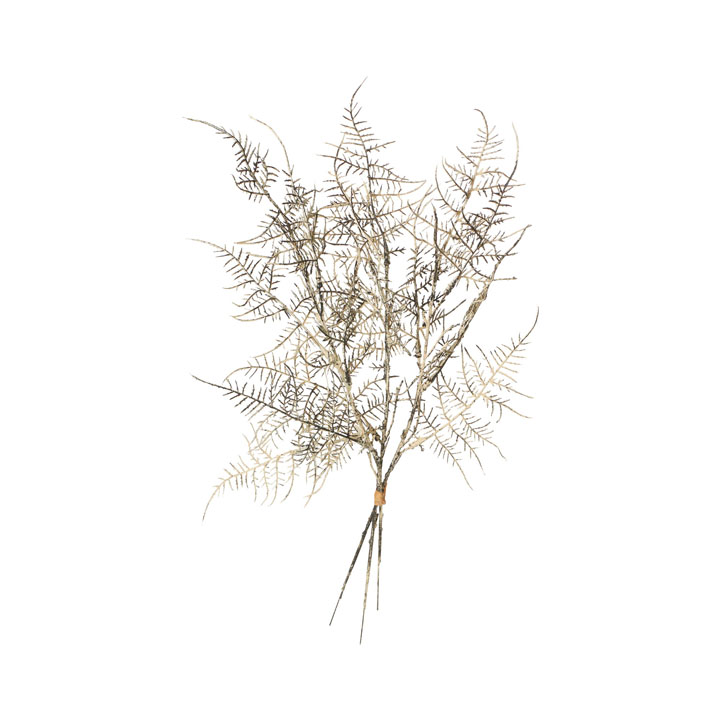 カラーシダーバンドル