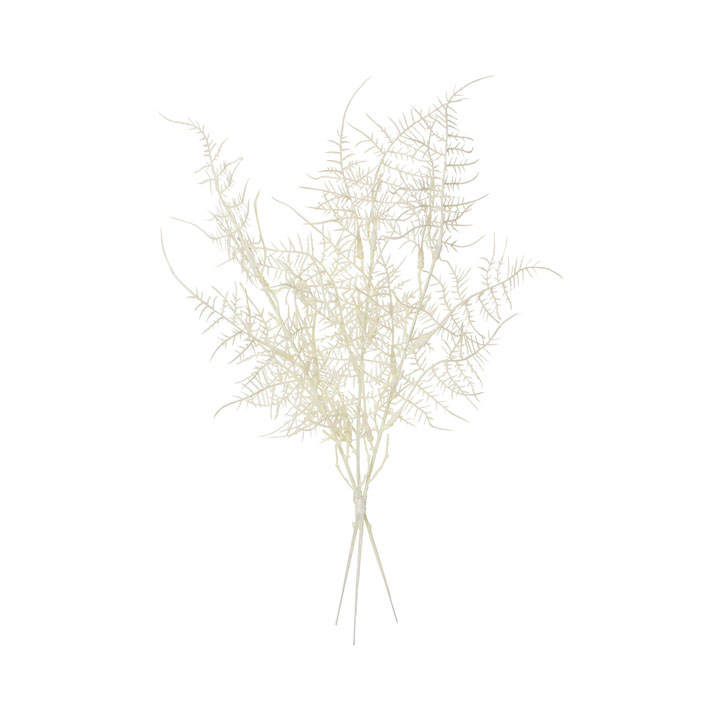 カラーシダーバンドル