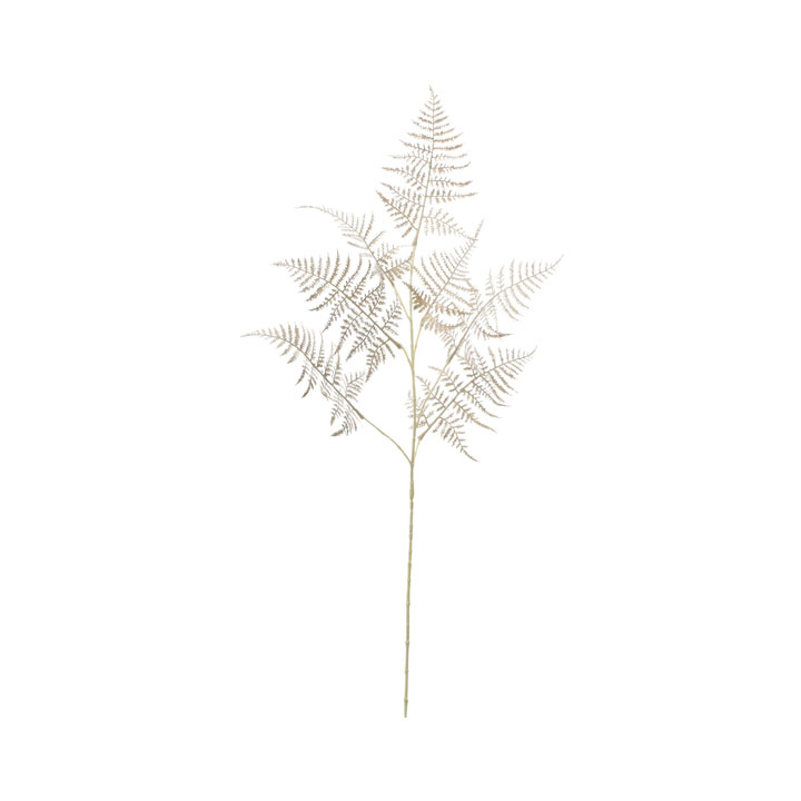 カラーシダースプレー