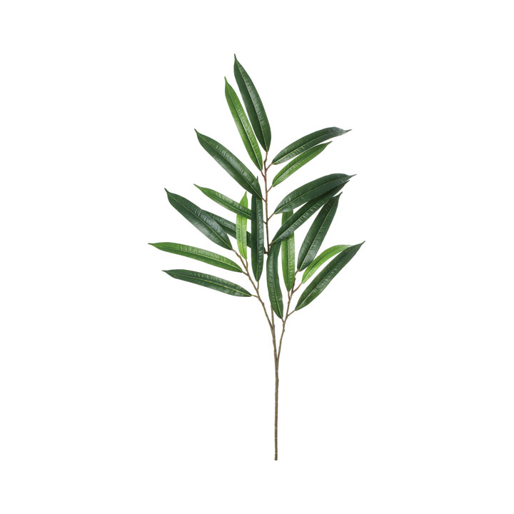 ショウナンゴムスプレ−