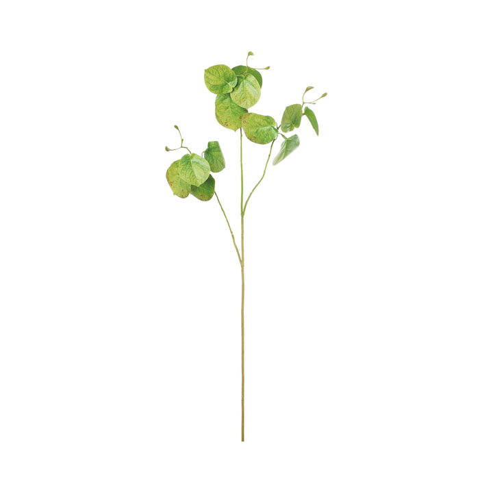 フレッシュタッチリーフスプレー